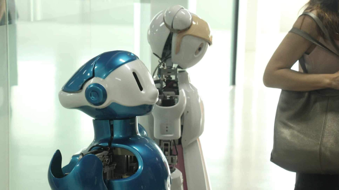AIU IT Students Get Hands-On with Robotics at FIBO 2024