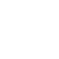 insta icon